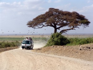 Wohnmobil mieten in Afrika